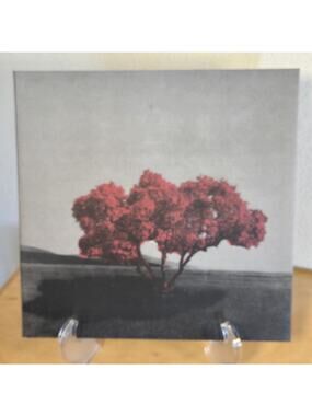 Project Unfollow Vol. 1 – Limited Edition Gold Vinyl – BMW x Vinyl Me Please